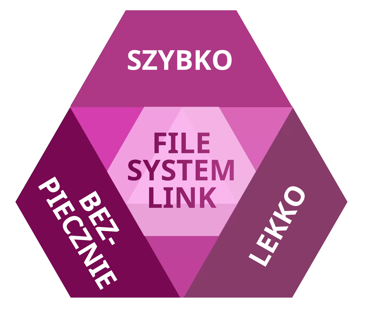 Paragon File System Link: Szybki, bezpieczny, dokładny. Wybierz wszystkie trzy.